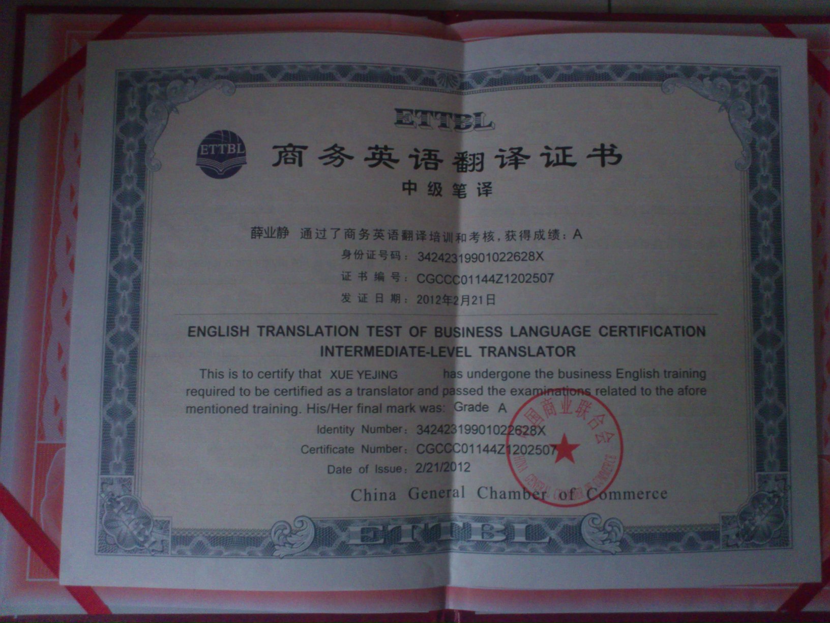 笔译三级_专业笔译 收入