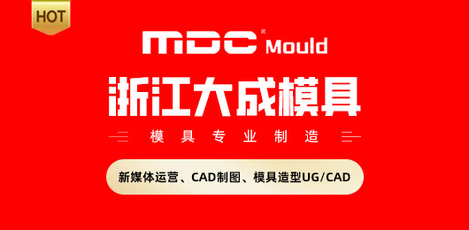 浙江大成模具有限公司